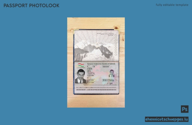 Beispielansicht eines Passfotos für Tadschikistan